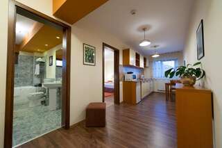 Апарт-отели Cabrio Apart Hotel Клуж-Напока Апартаменты-студио-73