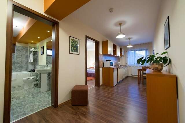 Апарт-отели Cabrio Apart Hotel Клуж-Напока-82